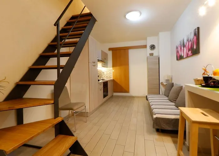 Centrocitta Suite